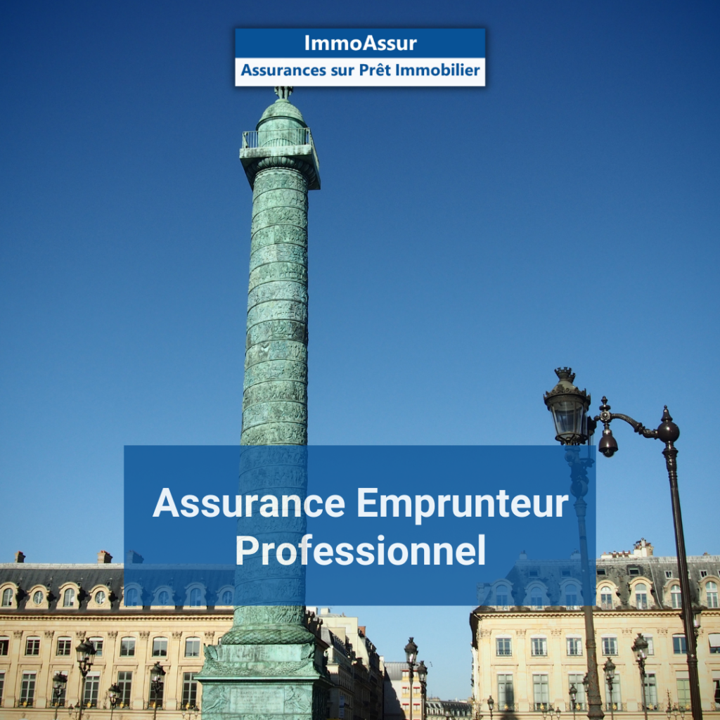 Assurance-Emprunteur-Professionnel-www.immoassur.fr_
